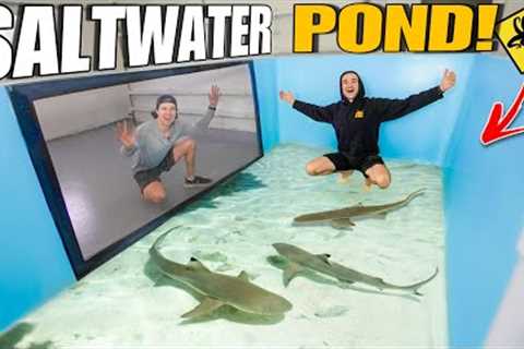 The GIANT SALTWATER POND For Tons Of EXOTIC FISH &amp; SHARKS is Back!