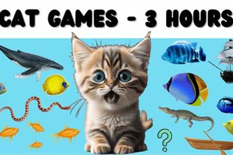 Cat Games Compilation - Fish &amp; Water Edition - 3 Hours of Cat TV with some SURPRISES!