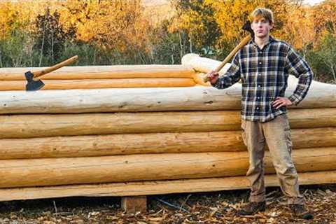 I'm Building My First LOG CABIN With No Experience &amp; Building a New Cabin For Temporary Living