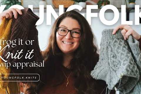 YoungFolk Knits: Frog It Or Knit It? wip appraisal