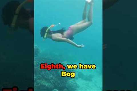10 Mind-Blowing Hobbies You Won't Believe Exist! 😱🤯 #short