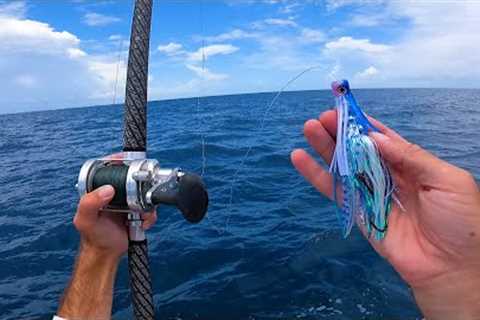 Fishing For Anything That Bites - Offshore Ocean Fishing Florida