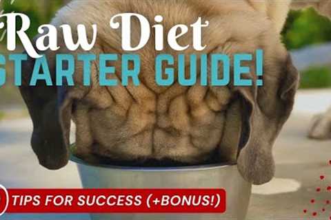 Raw Diet for Large Breed Dogs Starter Guide - Top 10 Tips + BONUS [Raw Dog Food PREP &amp; FEED..