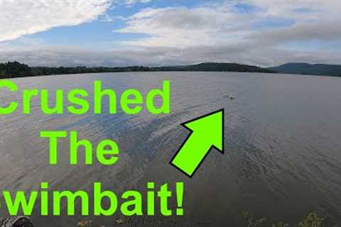 The Fish Were Crushing The Swimbaits! [Primordial Fishing Episode 108]