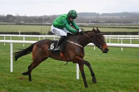 Champion Bumper contender? JASMIN DE VAUX creates deep impression on Rules debut at Naas