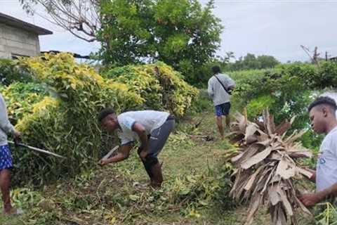 first process of building my house 🏡🏠 cleaning  the land space