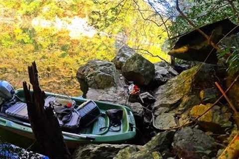 I stayed in a tree tent and went fishing camping!