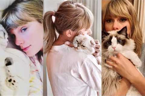 The Best of Taylor Swift and Her Cats