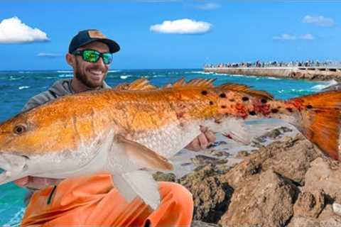 Chasing Giant Drum On Most Chaotic Pier! Catch Clean &amp; Cook
