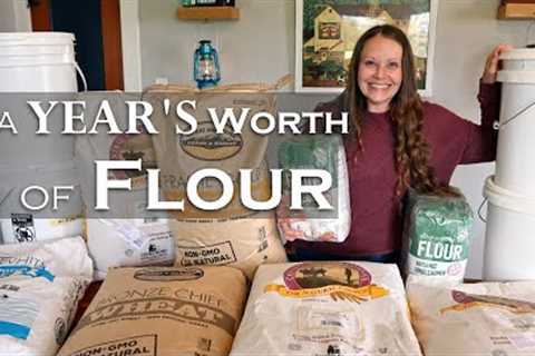 How to stock up and STORE a year's worth of flour | Long-term food storage | Prepping