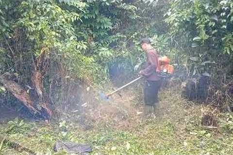 mowing the grass at the custome's. #part7 ‎@Teamofgrasscuttingworkers 