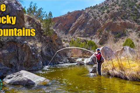 FLY FISHING SOME OF THE BEST WATER IN AMERICA! || 4 Days of Winter Trout Fishing