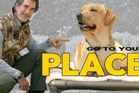 Teach Your DOG The PLACE Command - Go To Your Place - Robert Cabral Dog Training Video