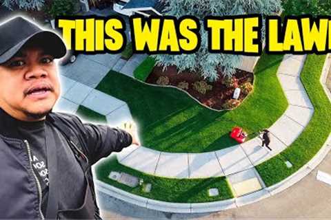 Summer lawn mashup ~ phantom 💩'ers ~ end of January lawn update