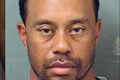Celebrity Mugshots That Caused A Stir