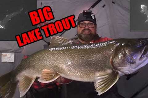 Watching BIG Lake Trout eat on the Underwater Camera! | Ice Fishing