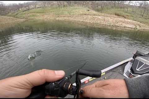 I have not Fished this Lake in Forever | Mixed Bag and 1 Toad