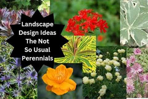 Landscape Design Ideas - Unusual Perennials