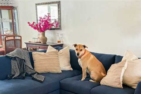 The 11 best sectional sofas according to months of testing