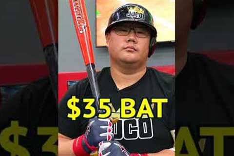 FACING PRO PITCHERS w CHEAP BASEBALL BATS