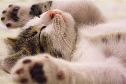 Top 5 Sleep Health Hacks: Unlock Restful Nights