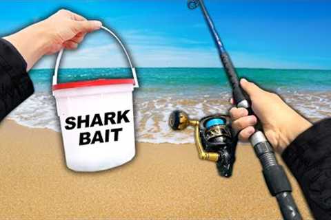 I Caught a SHARK and ATE IT (Catch and Cook)