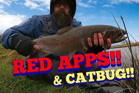 UK Stillwater FLY FISHING.. for BIG trout!! 1st Feb..