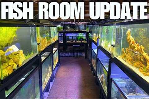 NEW AQUARIUM + NEW FISH IN THE FISH ROOM!