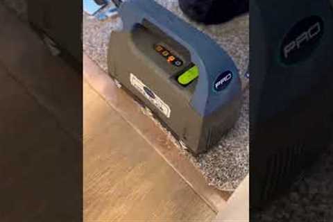 Quintessential carpet repair