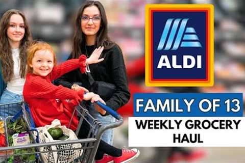 Weekly ALDI GROCERY HAUL New ARRIVALS and  21 SNACK IDEAS!