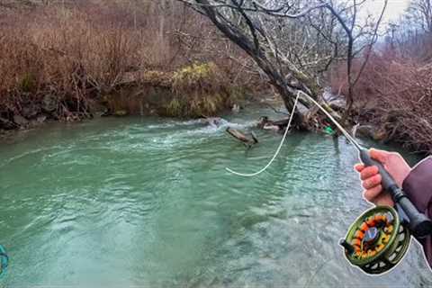 My First 20 Inch Trout of the YEAR! (Streamer Fly Fishing for Brown Trout)