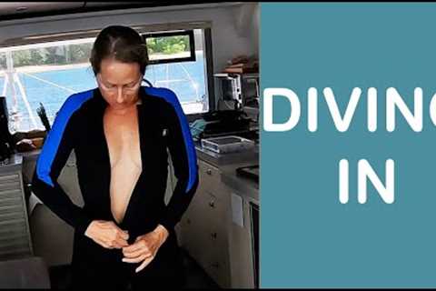 Diving In the Grenadines. E95