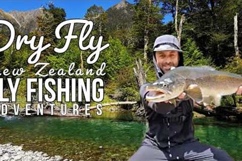 Big Tricky Fish on Dry Fly | New Zealand Fly Fishing Adventures