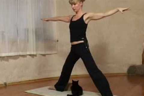 YOGA FAIL !! Esther Ekhart Cat Attack.