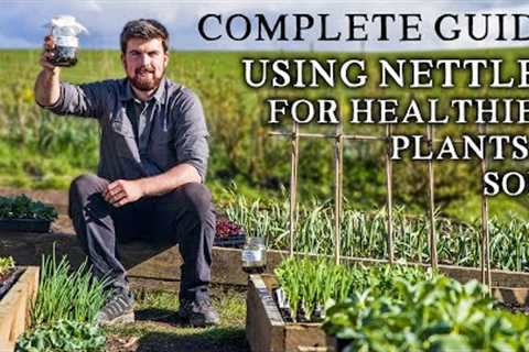 Amazing Way to Use NETTLES to Improve Seedling Success
