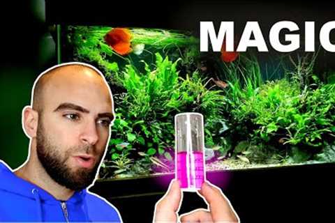 *SECRET* TO MY PLANT SUCCESS?? WATER TEST RESULTS || MD FISH TANKS