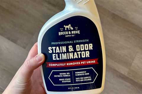 The 5 Best Pet Stain Removers of 2024: We tested and reviewed them