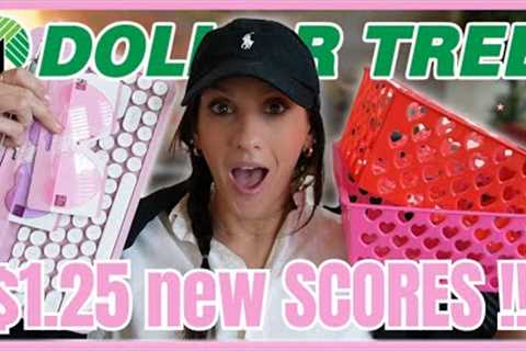 DOLLAR TREE HAUL | BIG $1.25 SCORES this WEEK | New Baskets, Makeup, Cleaning Products, Junk Journal