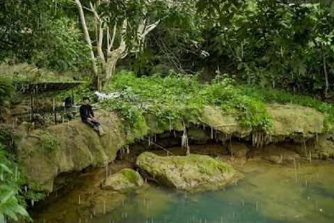 2 DAYS solo Survival Camping in Rain. Bamboo Survival Shelter, Relaxing Fishing,Catch and Cook