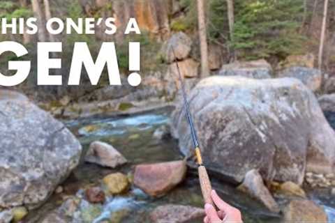 Amazing Roadside Creek Fishing in the Mountains! (Tenkara Fly Fishing)