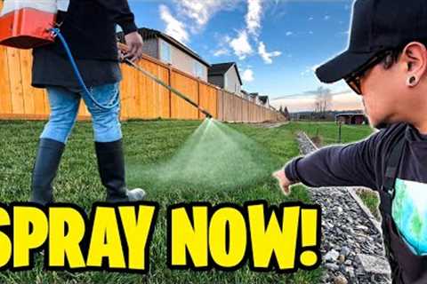 Spray Now Play Later! Pre Spring liquid fertilizer ~ End of winter lawn care plan &amp; essentials