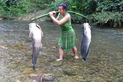Finding Fish Catch Big Fish For Survivel - Primitive Life Cooking Fish For Eating Delicious