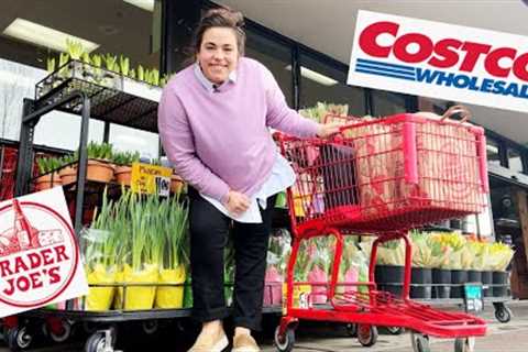 After a Month Long Pantry Challenge, LET'S GO SHOPPING!