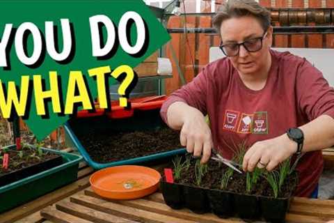 We all have different ways | potting up pepper and onion seedlings