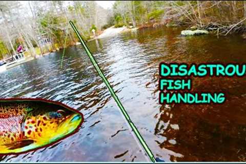 GIANT TROUT LANDED!! - Winter Fishing Big Brown/Rainbow/Brookies