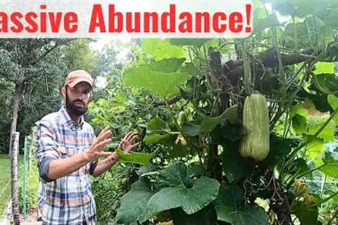 How We Feed our Family with a 20x40 ft. Garden - COMPLETE TOUR