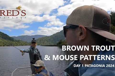 Brown Trout Caught on Mouse Patterns // Patagonia Day 1, 2024