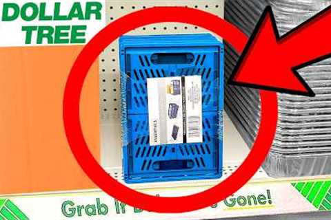 10 Things You SHOULD Be Buying at Dollar Tree in February 2024