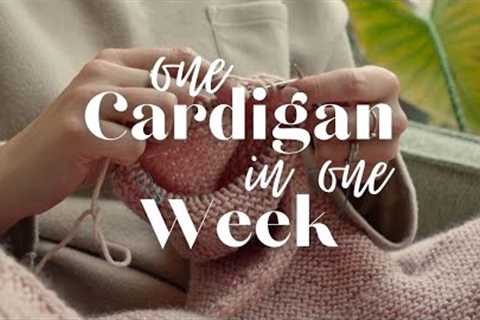 Attempting to knit a cardigan in a week!