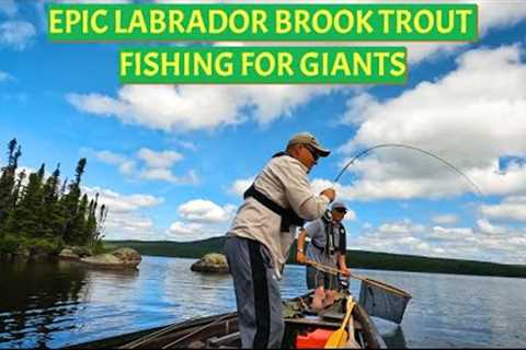 Fishing for the Legendary Brook Trout of Labrador